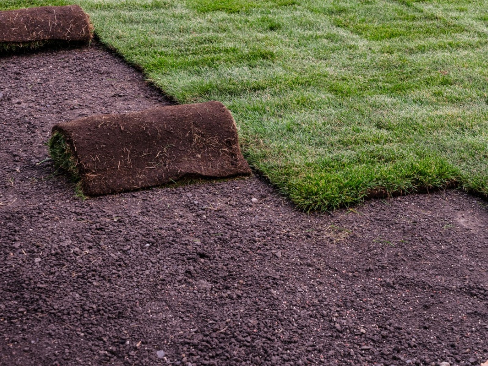 Sod Installation
